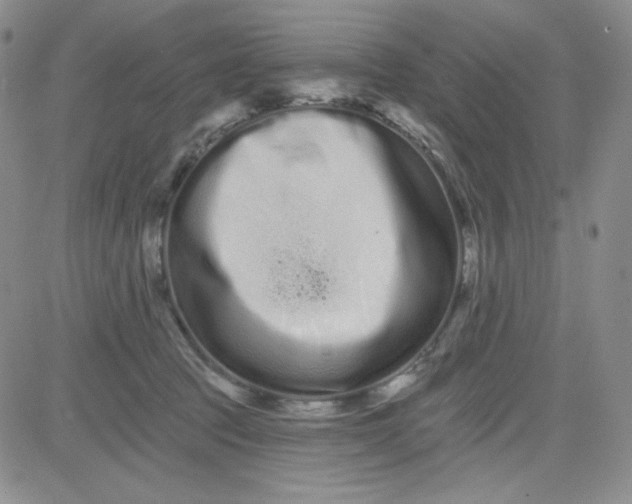 X0000080770369200701021128