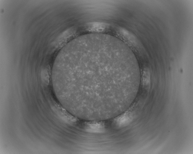 X0000080770370200701021128