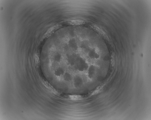 X0000080770371200701021128