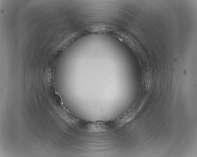 X0000080770372200701021128