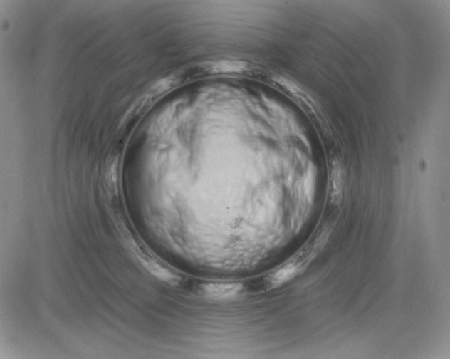 X0000080770373200701021128