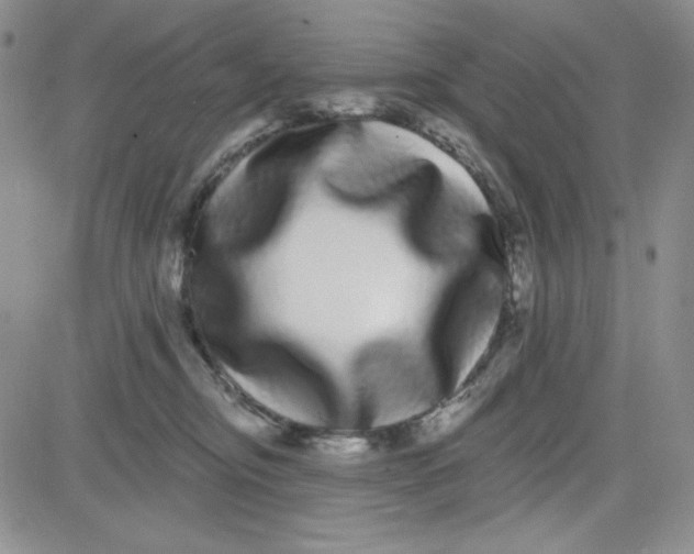 X0000080770374200701021128