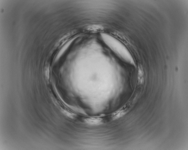 X0000080770375200701021128