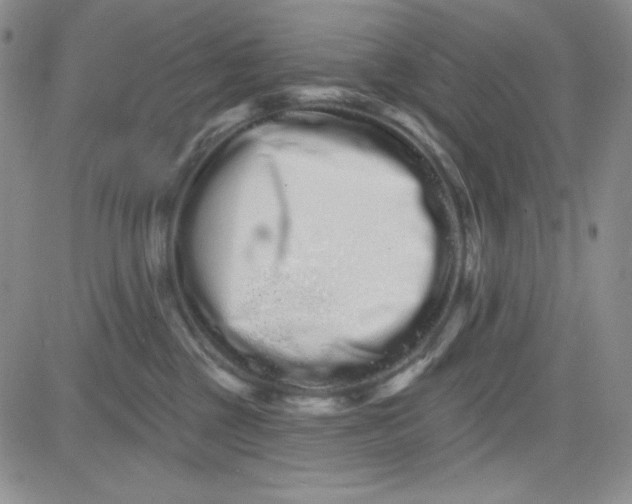 X0000080770377200701021128