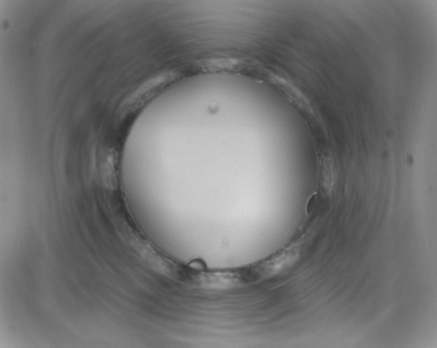 X0000080770378200701021128