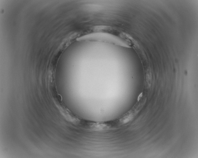 X0000080770379200701021128