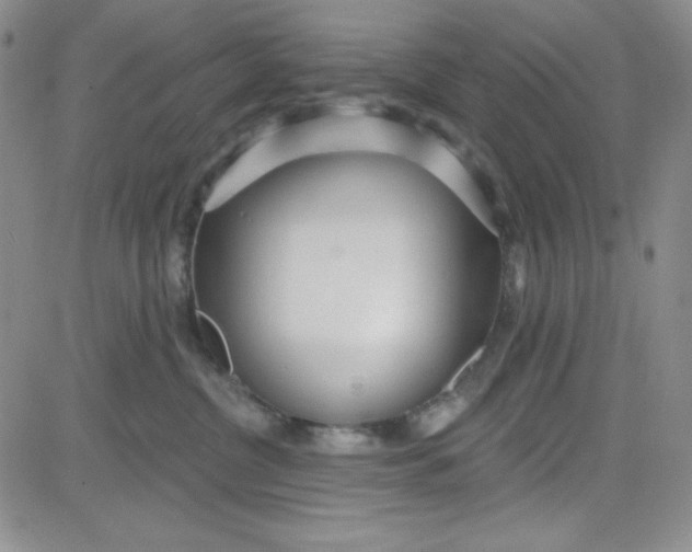 X0000080770380200701021128