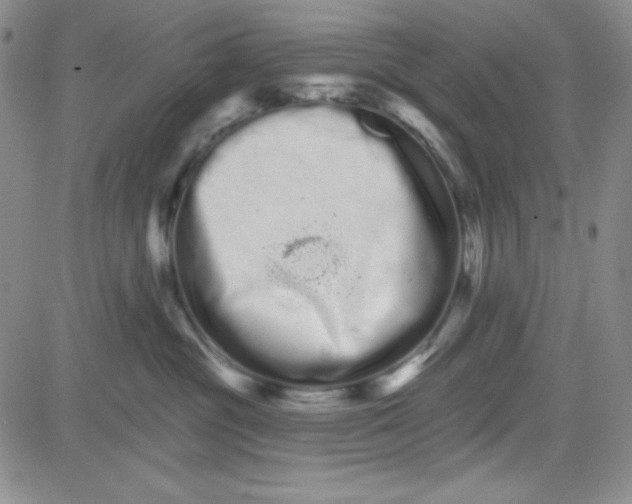 X0000080770381200701021128