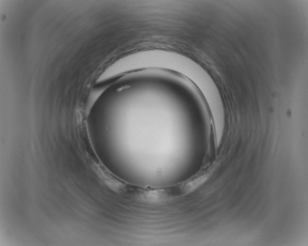 X0000080770382200701021128