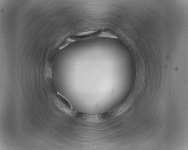 X0000080770384200701021128