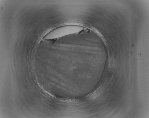 X0000080770385200701021127