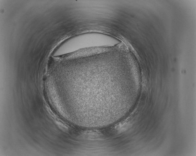 X0000080770386200701021127