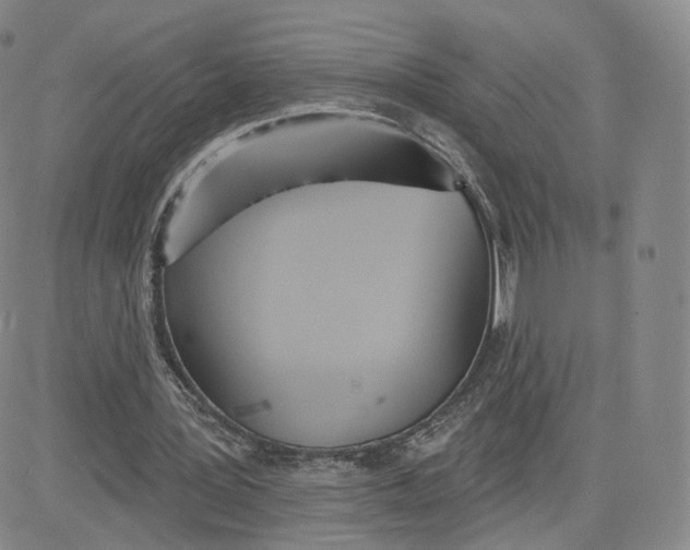 X0000080770387200701021127