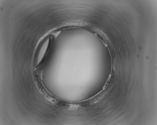 X0000080770388200701021127