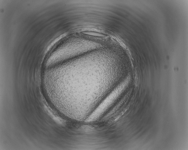 X0000080770390200701021127