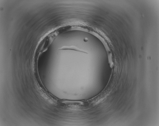 X0000080770391200701021127