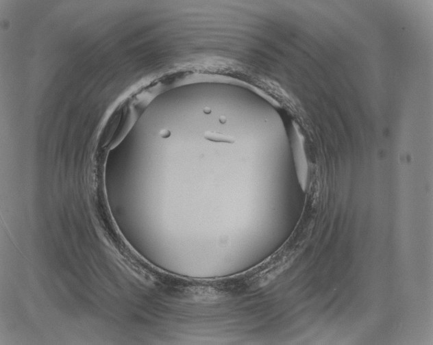 X0000080770392200701021127