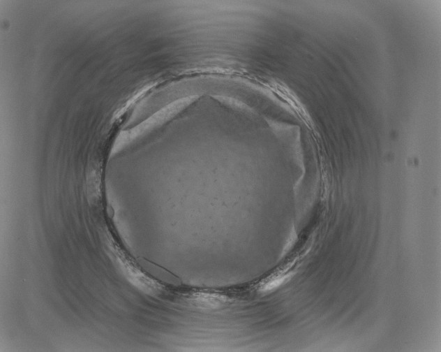 X0000080770393200701021127