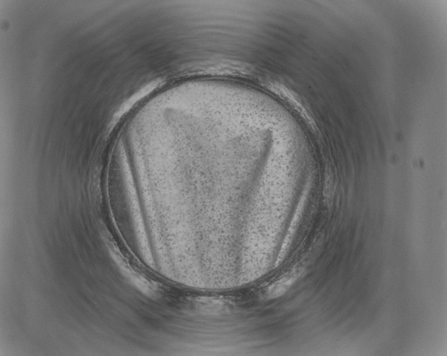 X0000080770394200701021127