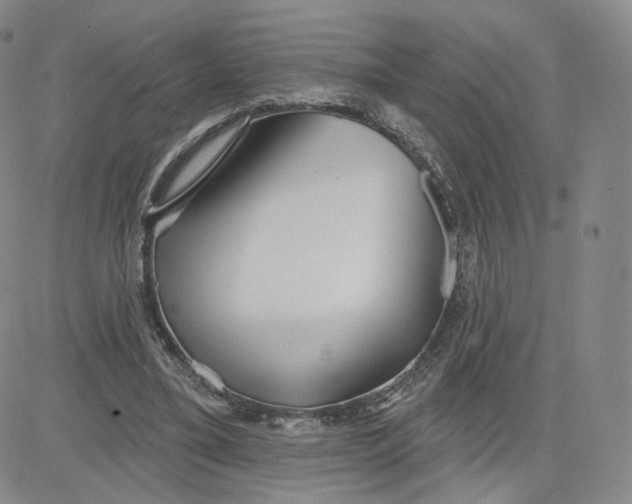 X0000080770395200701021127