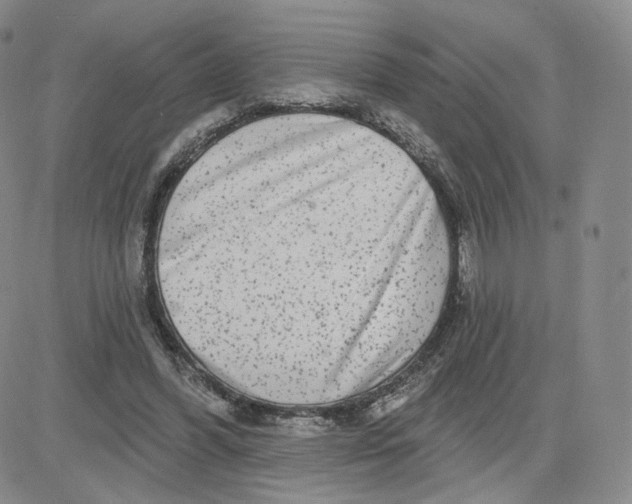 X0000080770396200701021127