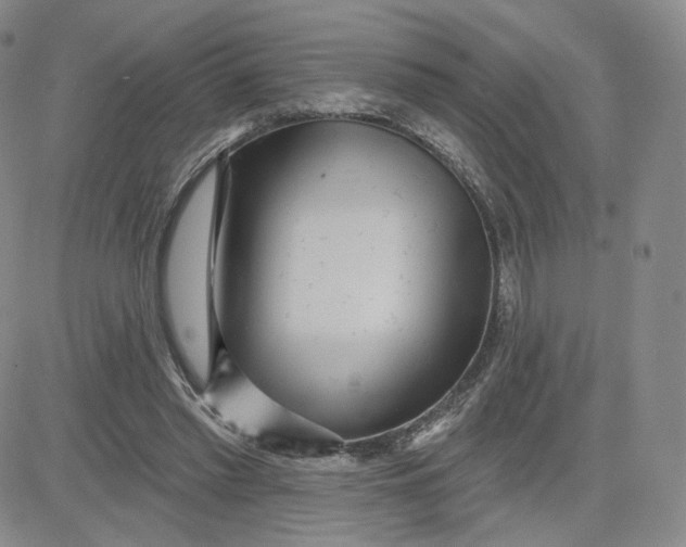 X0000080770397200701021127