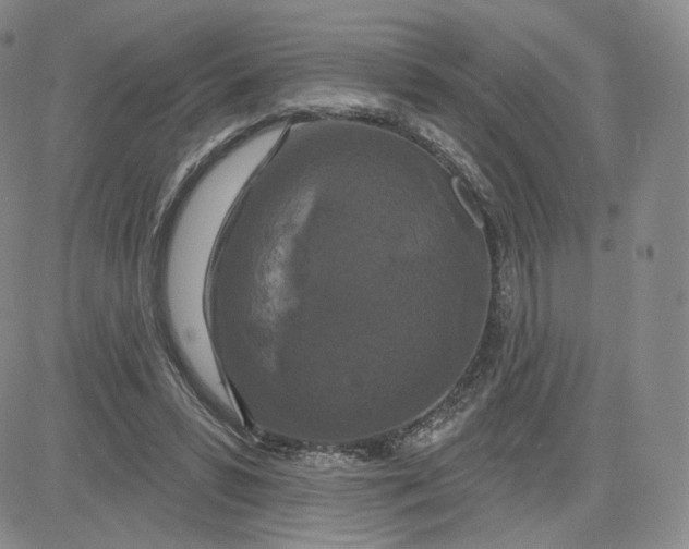 X0000080770399200701021127