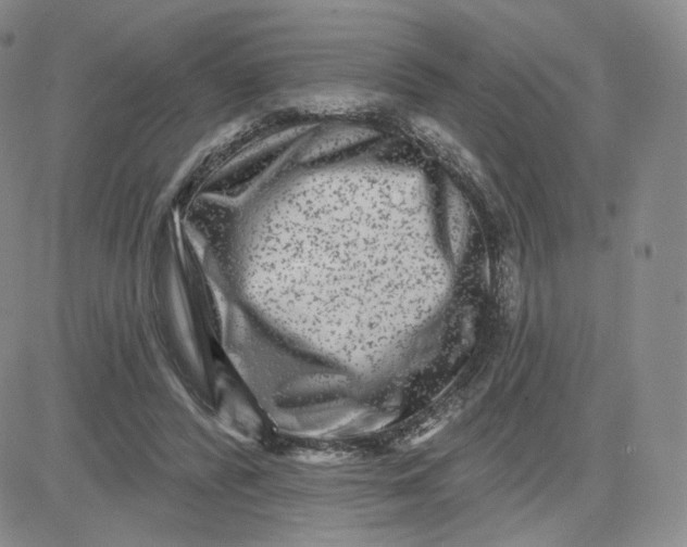 X0000080770400200701021127