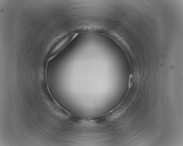 X0000080770403200701021127