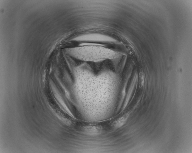 X0000080770404200701021127