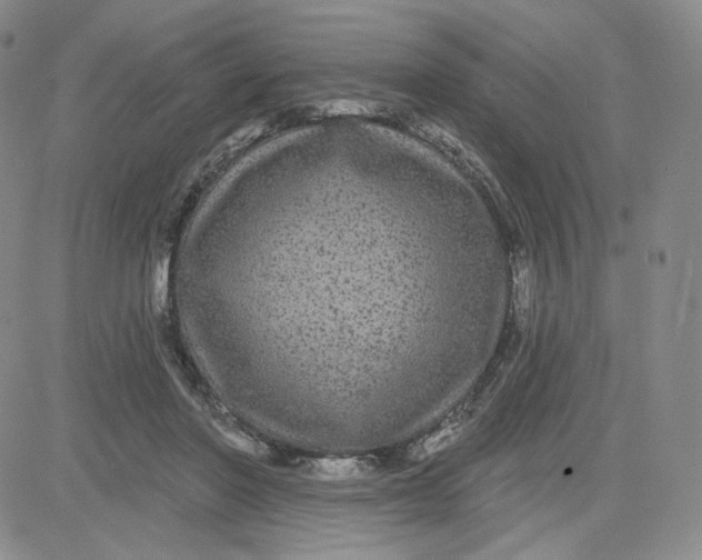 X0000080770406200701021127