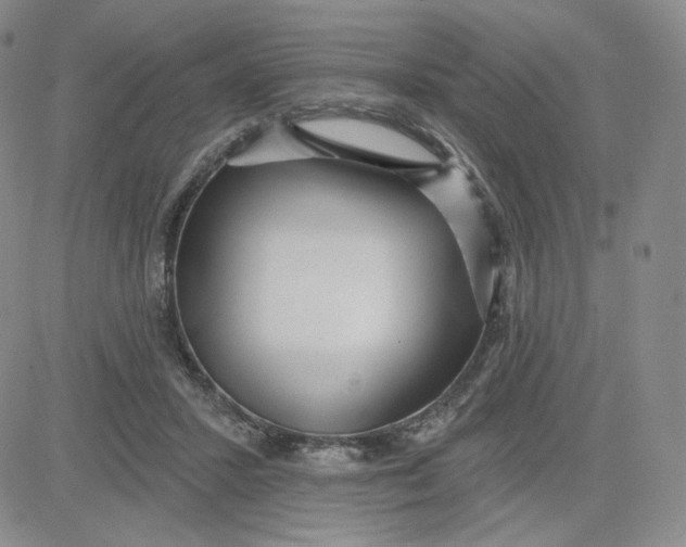 X0000080770407200701021127