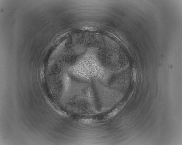 X0000080770408200701021127