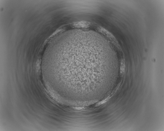 X0000080770409200701021127