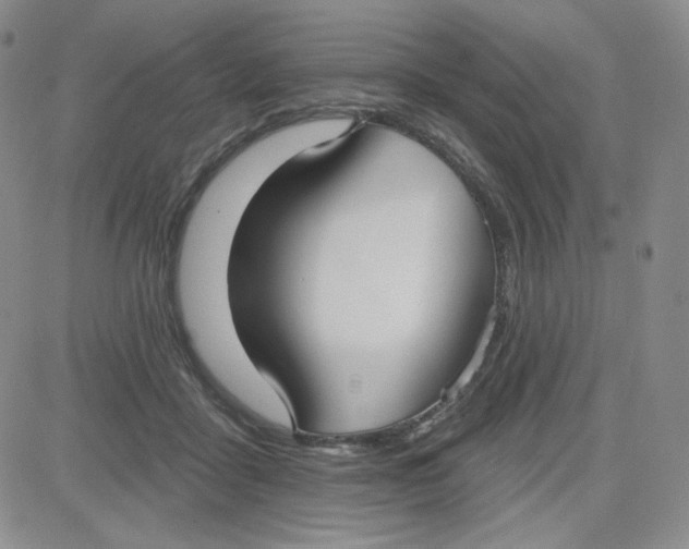 X0000080770411200701021127