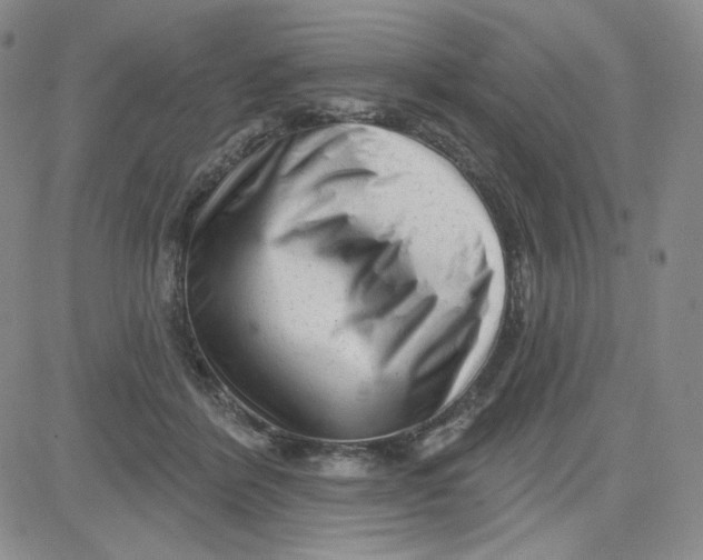 X0000080770412200701021127