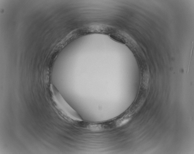 X0000080770413200701021127