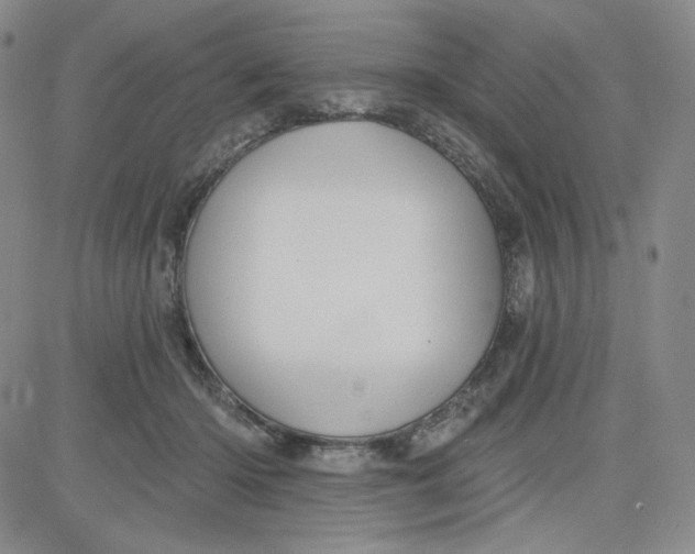 X0000080770414200701021127