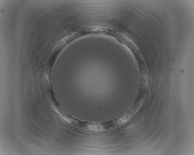 X0000080770415200701021127