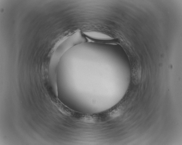 X0000080770416200701021127