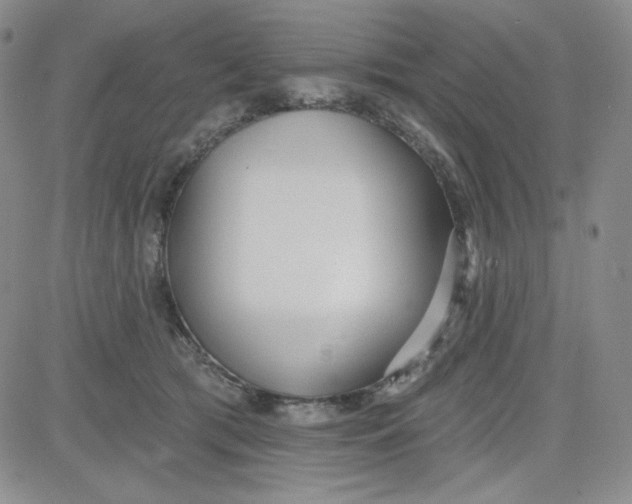 X0000080770417200701021127