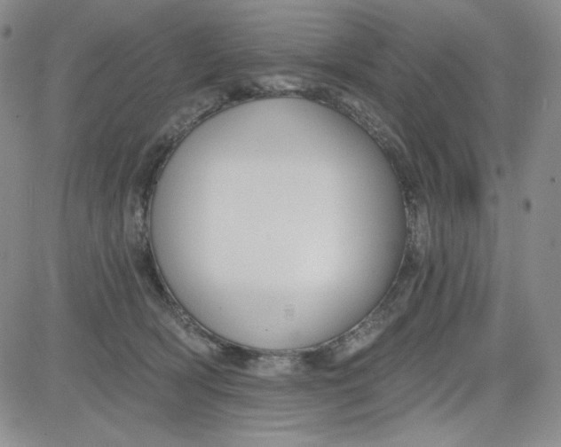 X0000080770418200701021127