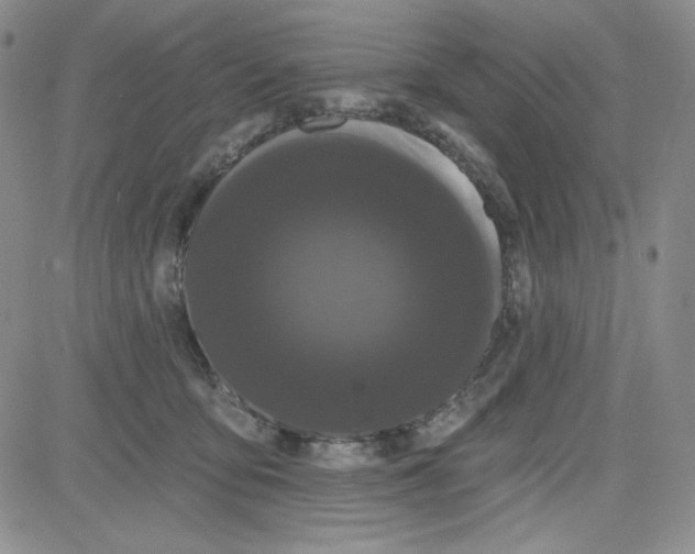 X0000080770419200701021127