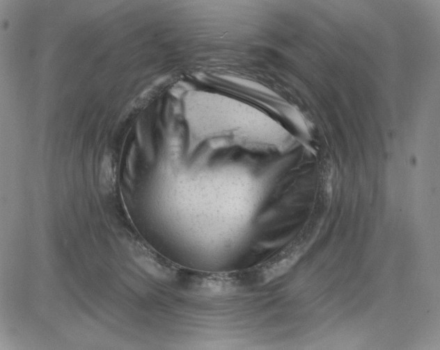 X0000080770420200701021127