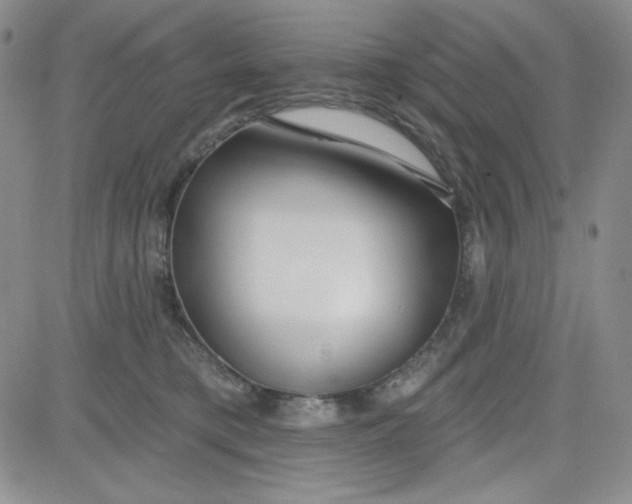 X0000080770421200701021127