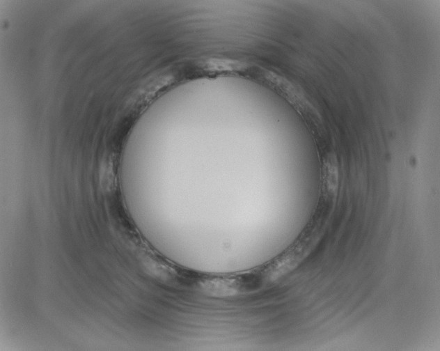 X0000080770422200701021127