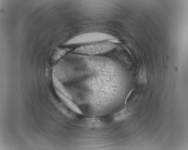 X0000080770424200701021127