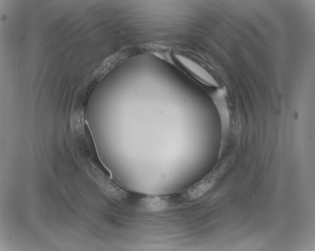 X0000080770425200701021127