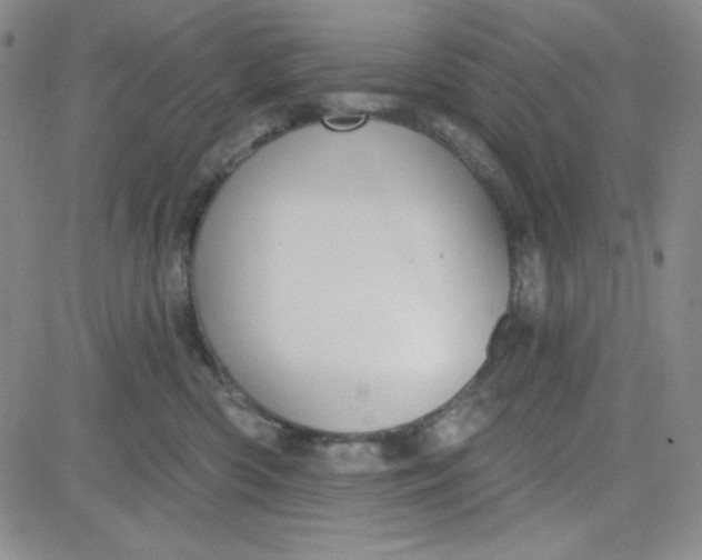 X0000080770426200701021127