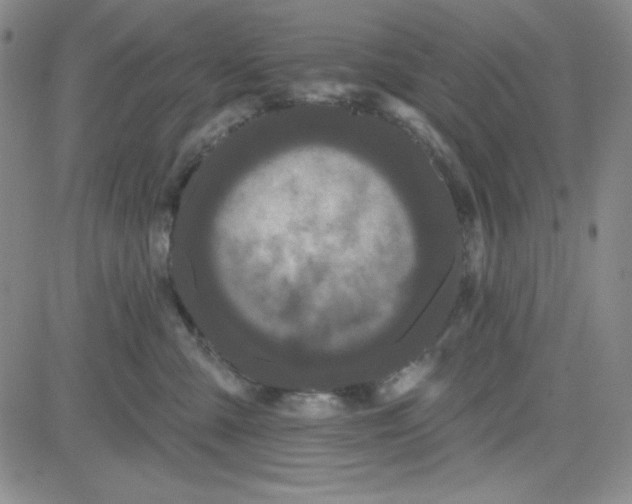 X0000080770427200701021127